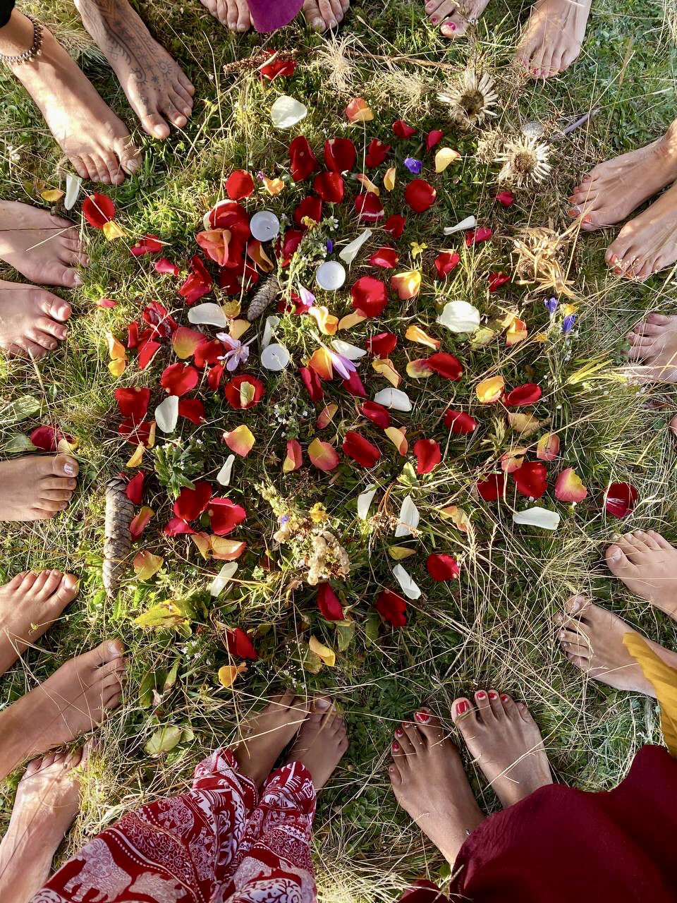 background image -  New Hope Familienstudio - Tornesch - Kreis Pinneberg